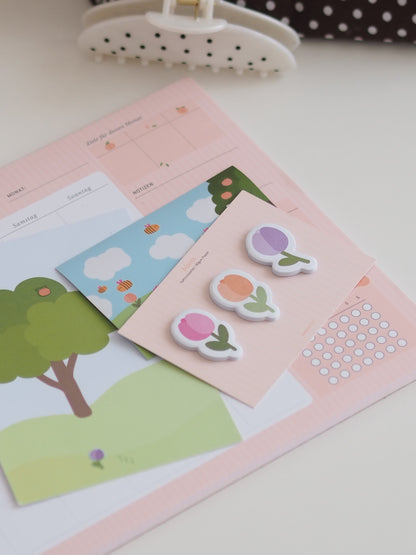 Apricot bloom-Set | 4-teilig
