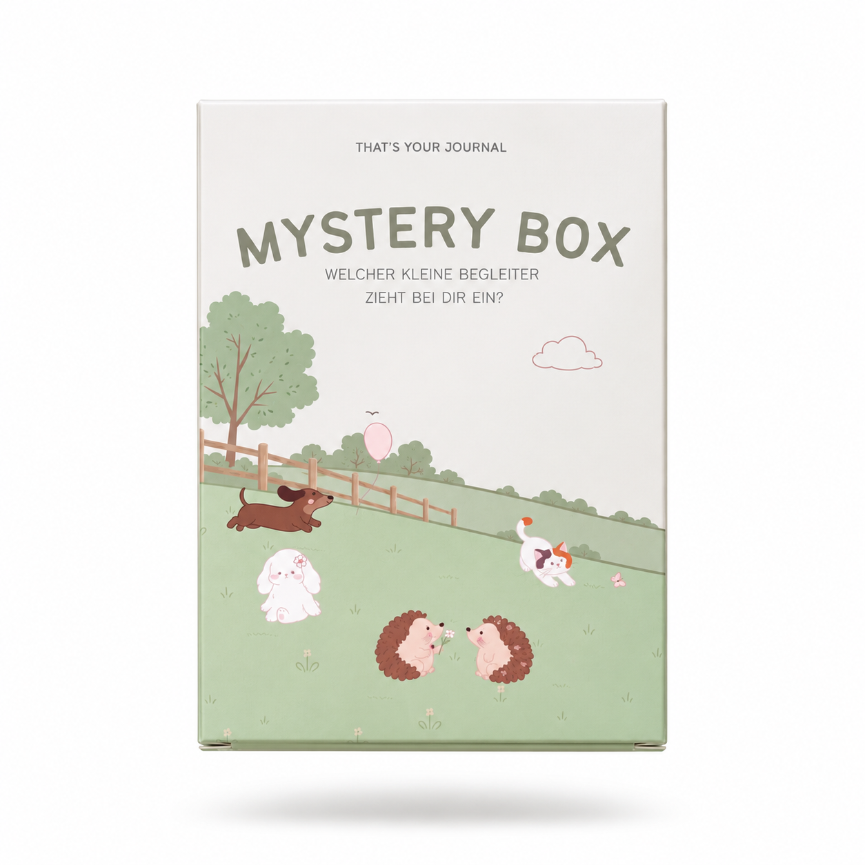 Blind-Box | TYJ